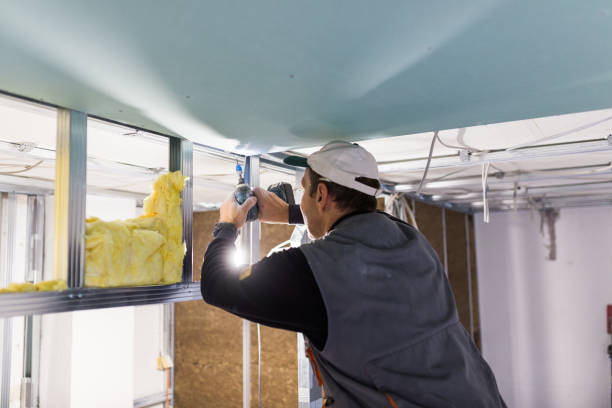 Best Insulation Materials and Products in Whiteman Af, MO